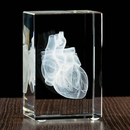 Model serca wygrawewany w statuetce, prezent dla lekarza, adepta medycyny