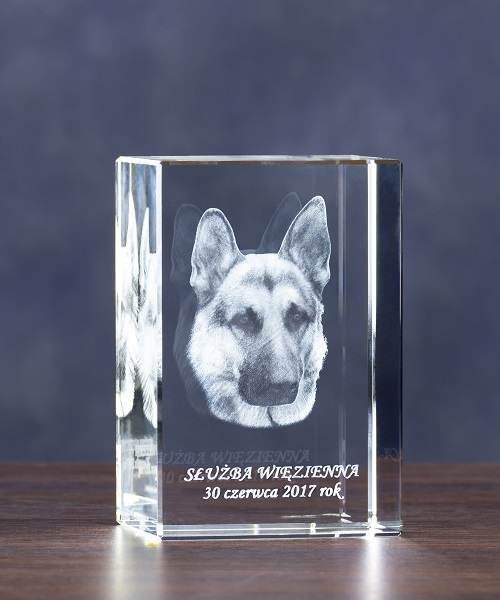 Prezent dla miłośnika psów - zdjęcie psa w służbie policji, więziennej
