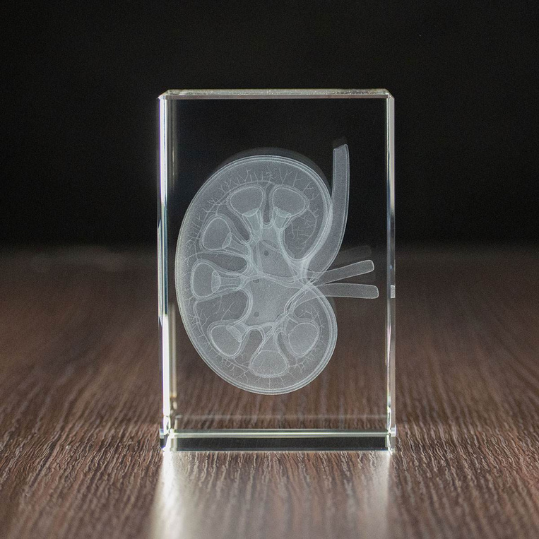 Nerka 3D wygrawerowana w szklanej statuetce - PREZENT DLA LEKARZA