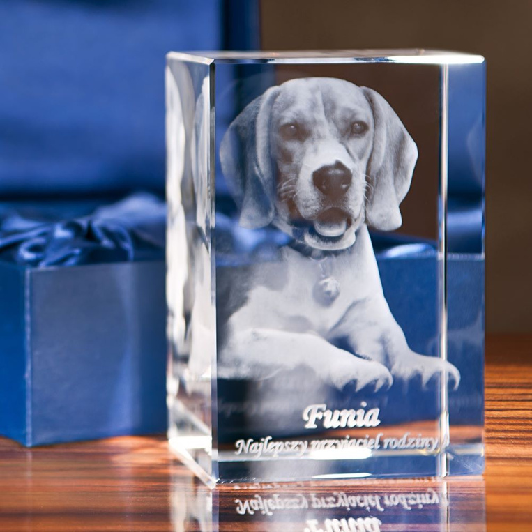 Twój Pies w 3D Prezent dla syna, męża, ukochanego - zdjęcie jego pupila w krysztale
