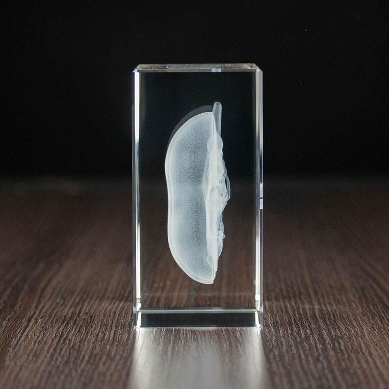 Nerka 3D wygrawerowana w szklanej statuetce - PREZENT DLA LEKARZA