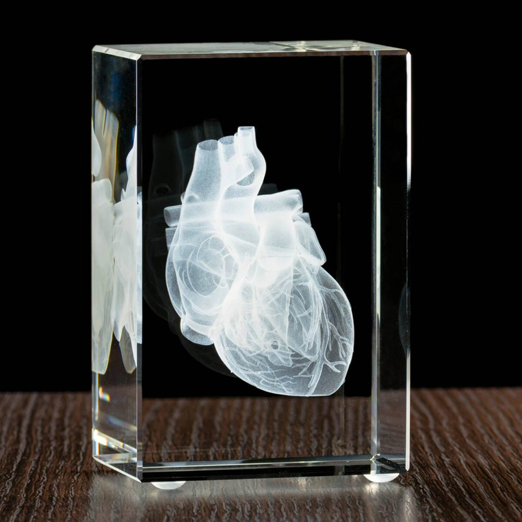 Model serca wygrawewany w statuetce, prezent dla lekarza, adepta medycyny