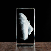 Lew – trójwymiarowe zdjęcie 3D wygrawerowane w kryształowej statuetce 150×200×100 mm