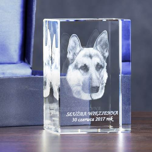 Prezent dla miłośnika psów - zdjęcie psa w służbie policji, więziennej