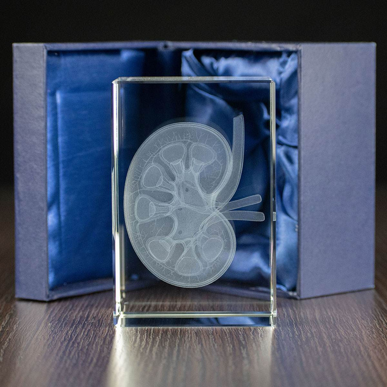 Nerka 3D wygrawerowana w szklanej statuetce - PREZENT DLA LEKARZA