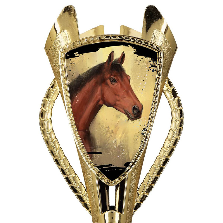 Puchar złoty A - Jeździectwo