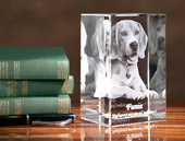 Twój Pies w 3D Prezent dla syna, męża, ukochanego - zdjęcie jego pupila w krysztale