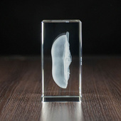 Nerka 3D wygrawerowana w szklanej statuetce - PREZENT DLA LEKARZA