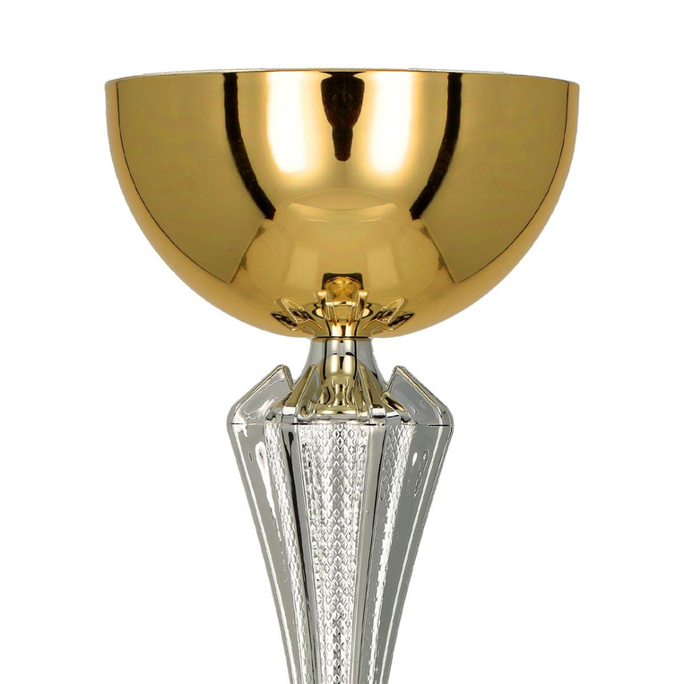 Puchar złoto-srebrny C