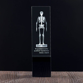 Szkielet 3D dla nauczyciela w kryształowej statuetce