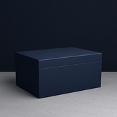 Lew – trójwymiarowe zdjęcie 3D wygrawerowane w kryształowej statuetce 150×200×100 mm