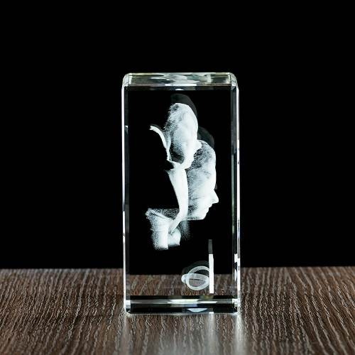 Zdjęcie 3D dla 2 popiersi 2 osób, statuetka średnia - Prezent na każdą okazję