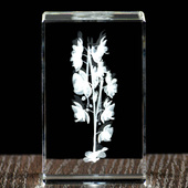 Kryształ dla nauczyciela - grawerowany storczyk 3D z osobistą dedykacją