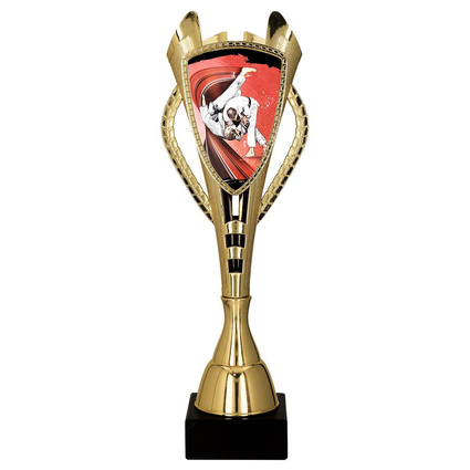 Puchar złoty A - Judo