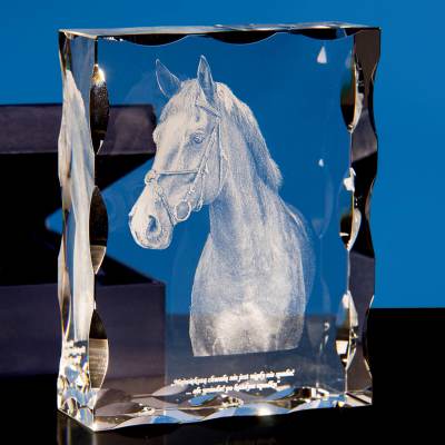 Trójwymiarowe zdjęcie konia wtopione w statuetkę